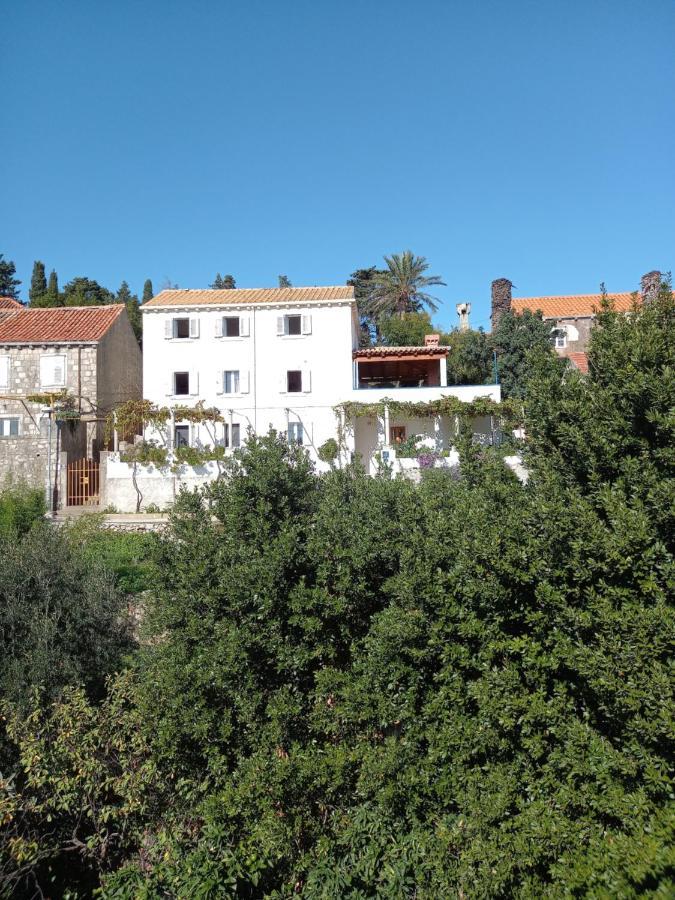 Villa Sea Dream Kolocep Gornje Celo Bagian luar foto