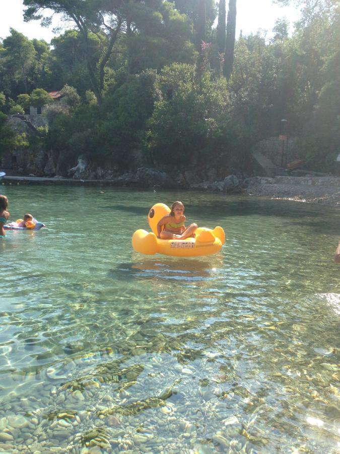 Villa Sea Dream Kolocep Gornje Celo Bagian luar foto