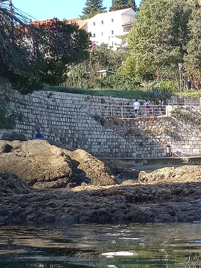 Villa Sea Dream Kolocep Gornje Celo Bagian luar foto