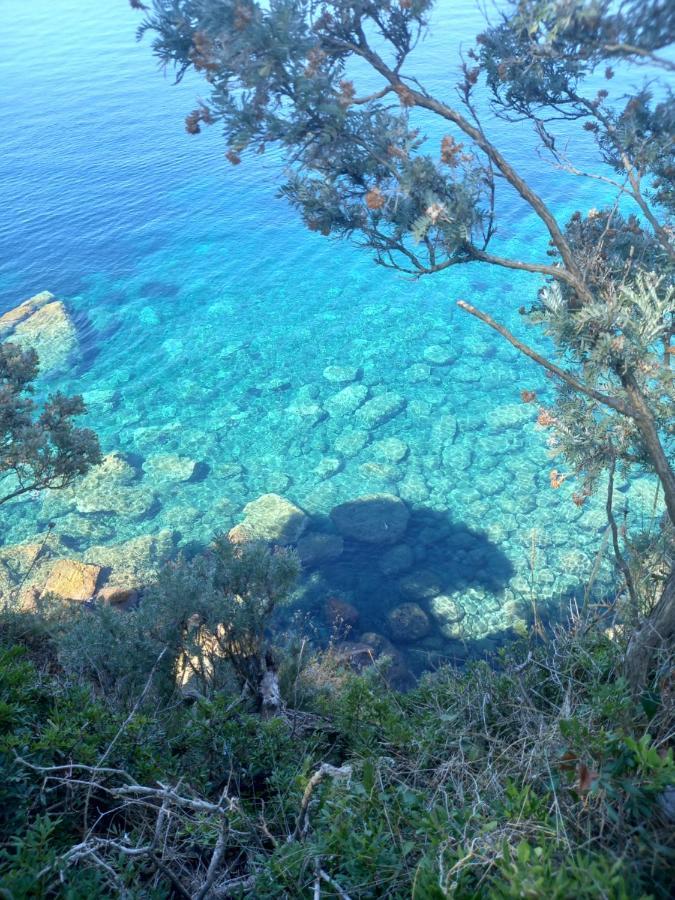 Villa Sea Dream Kolocep Gornje Celo Bagian luar foto