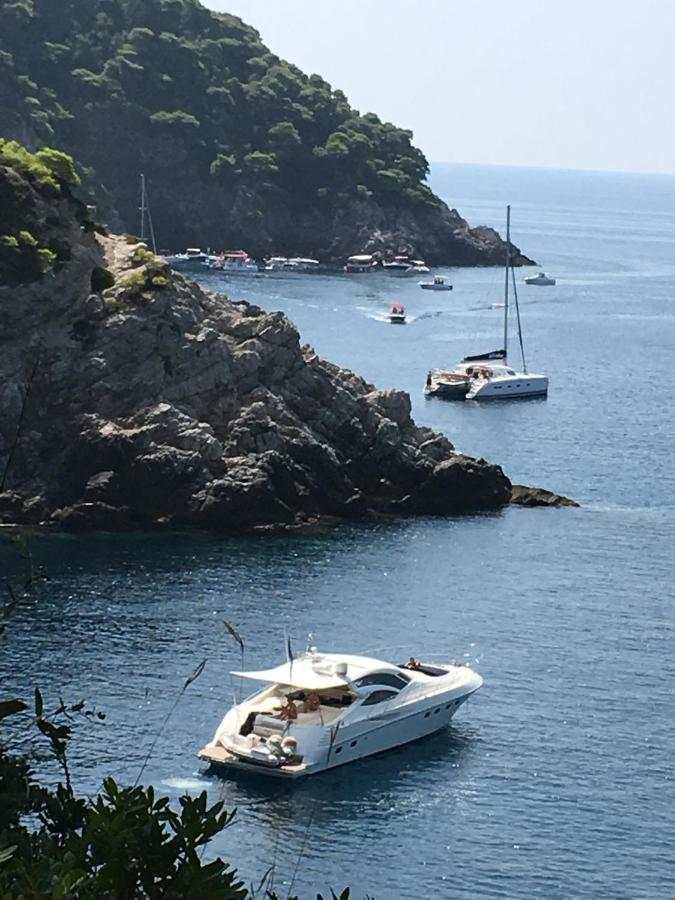 Villa Sea Dream Kolocep Gornje Celo Bagian luar foto