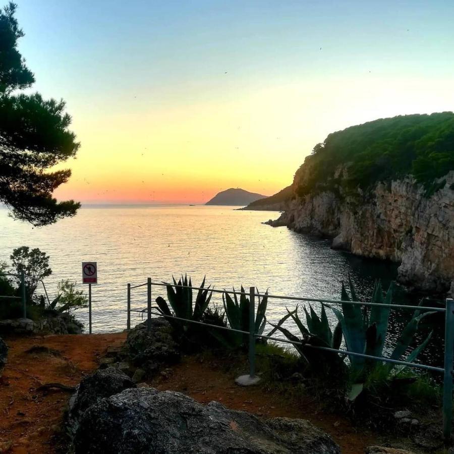 Villa Sea Dream Kolocep Gornje Celo Bagian luar foto